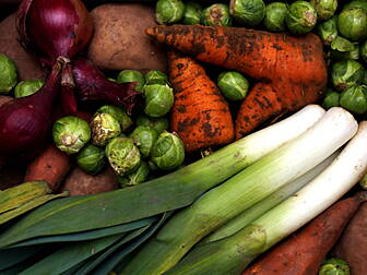 What Is The Future Of Food?